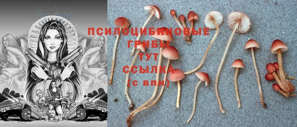 герыч Нефтегорск