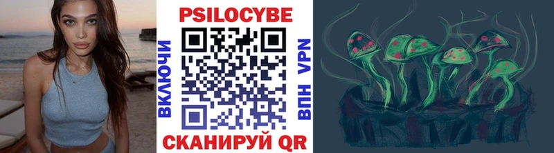 кракен вход  Новая Ляля  Псилоцибиновые грибы Cubensis 